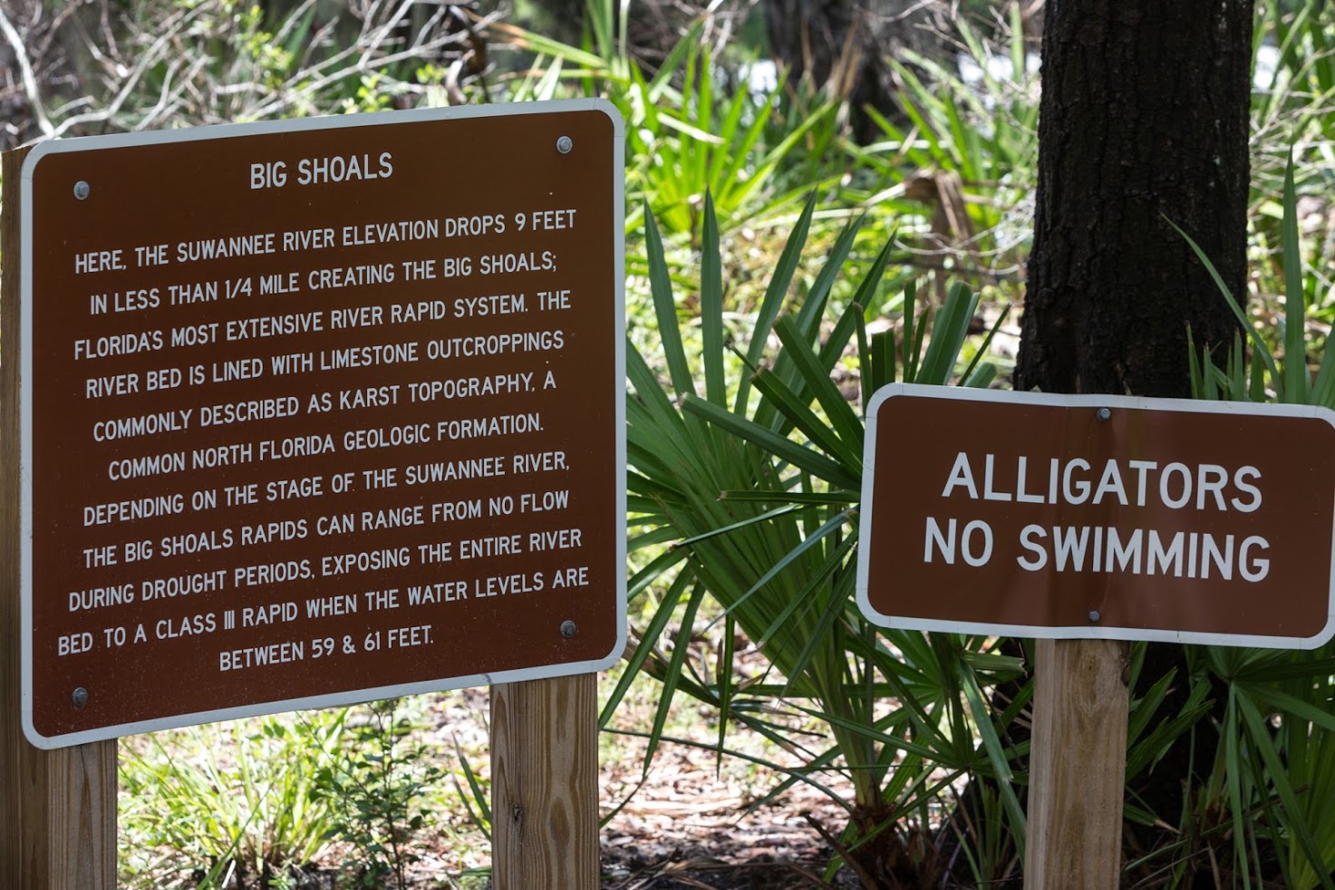 Long Branch Trail, Big Shoals State Park – Florida Hikes